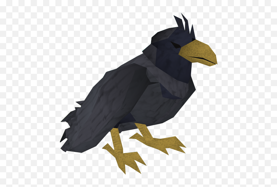 Raven - Runescape Raven Emoji,Raven Emotion Clones