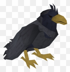 Raven - Runescape Raven Emoji,Raven Emotion Clones
