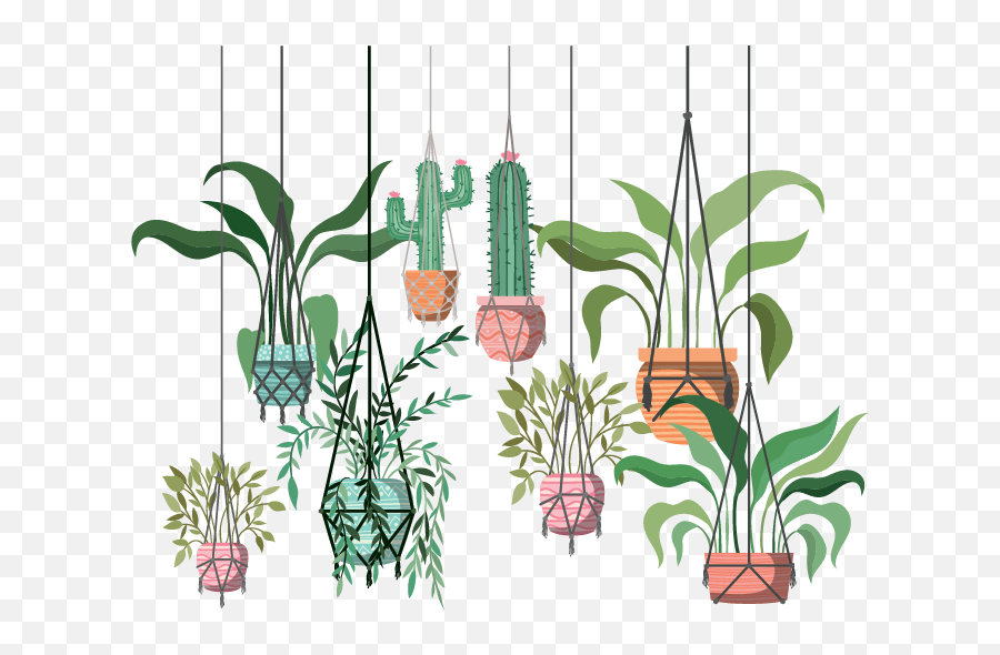 The 10 Best Hanging Plants For Creating - Hanging Plant Illustration Png Emoji,Plant With More Complicated Emotions