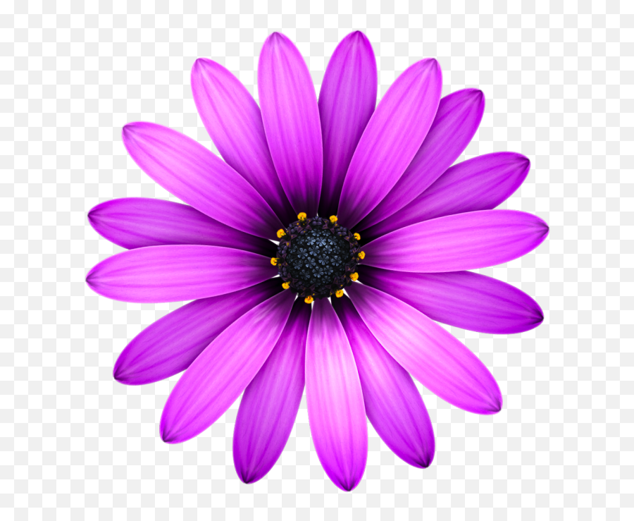 Flowers Icon Png Images Download Transparent Flowers Icon Emoji,Facebook's Lavendar Flower As An Emoticon...