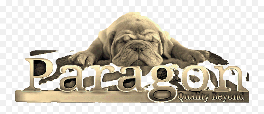 Paragon Bordeauxu0027s Puppies Emoji,Shar Pei Emoticon