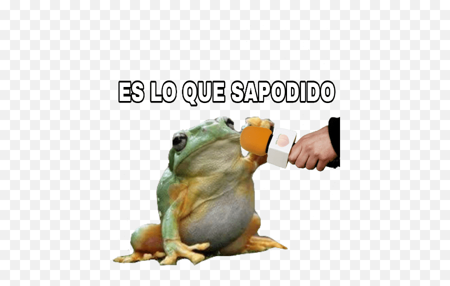 Animales Entrevistados Emoji,Bullfrog Emoji