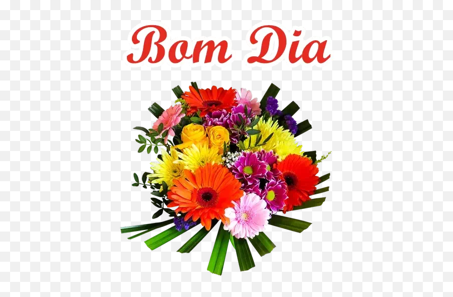 Figurinhas De Bom Dia Para Whatsapp 100 Stickers - Ssc Board All The Best Emoji,Emoticon Gargalhando