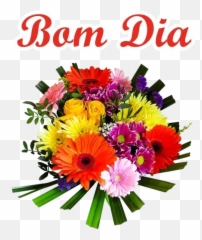 Figurinhas De Bom Dia Para Whatsapp 100 Stickers - Ssc Board All The Best Emoji,Emoticon Gargalhando