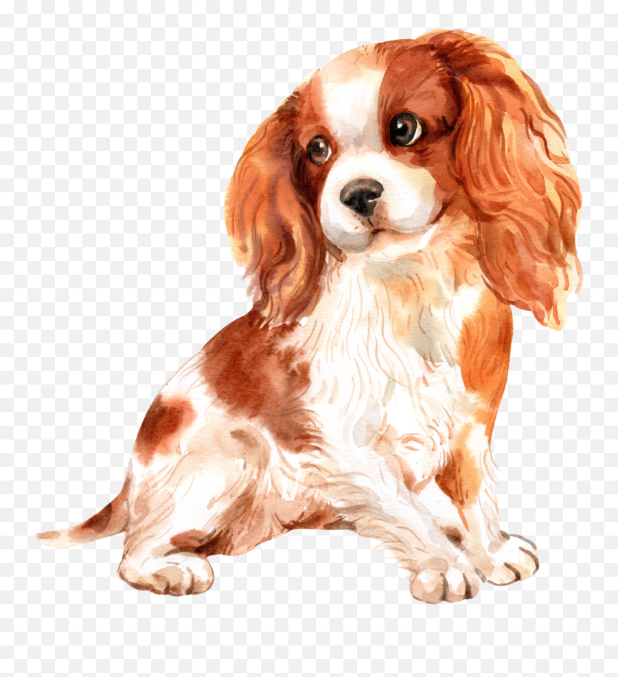 Cute Dog Watercolor - Dog Watercolor Emoji,Cavalier King Charles Spaniel Sticker Emoji