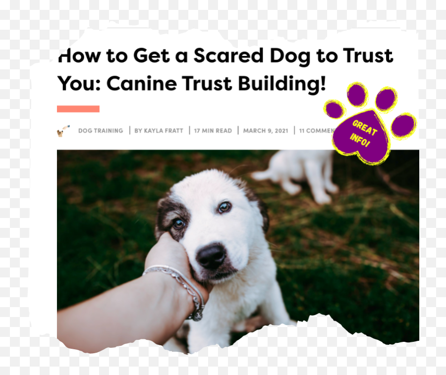 Blog - Photo Caption Emoji,Scared Dog Emoticons