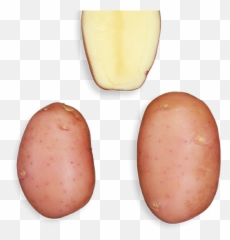 Bartina Emoji,Vegatable Emoji