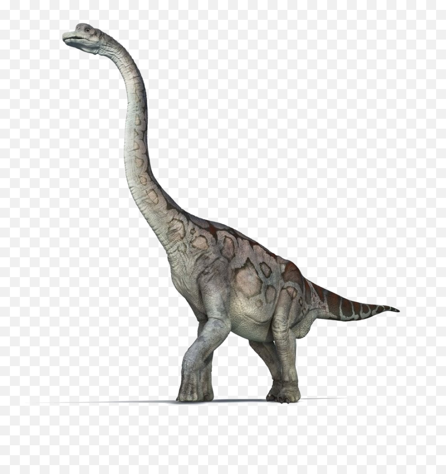 Brachiosaurus Png Pic Png Mart Emoji,Saurpopd Emoji