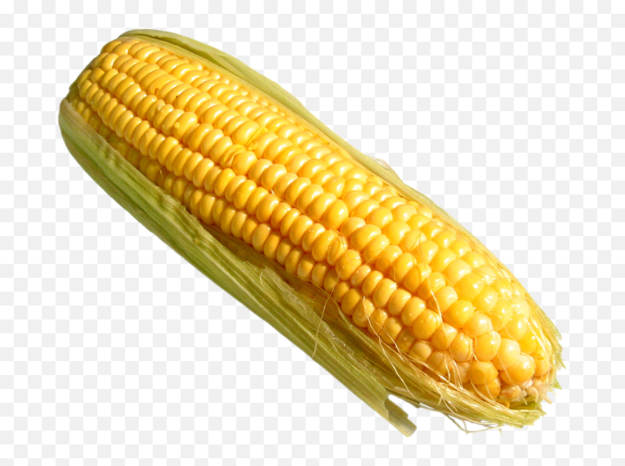 Mexican Clipart Corn - Corn On The Cob Png Emoji,Corn Emoji Png