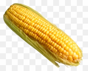 Mexican Clipart Corn - Corn On The Cob Png Emoji,Corn Emoji Png