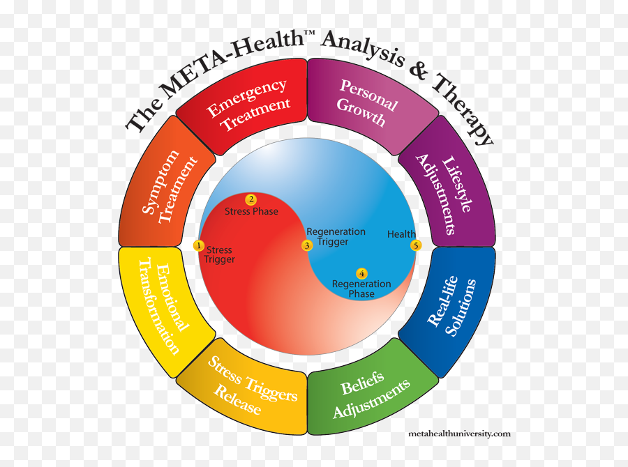 Meta Healthy Analysis In Hong Kong The Body Group - Vertical Emoji,Fascia Emotions