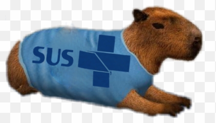 Capivara Capybara Sticker - Capybara Emoji,Capybara Emoji
