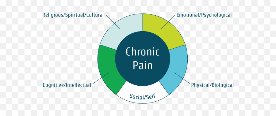 Pain Primer For Those In Pain Find Rehab Centers Based On - Pilz Records Emoji,Physical Effects Of Emotions Pain Primer For Those In Pain Find Rehab Centers Based On - Pilz Records Emoji,Physical Effects Of Emotions