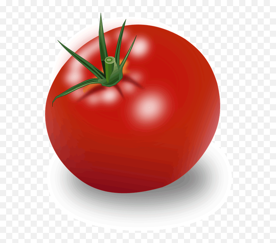 Tomato Png Images - Tomate Png Emoji,Find The Emoji Tomato