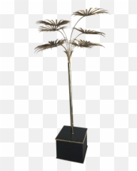 Italian Gold Palm Tree Metal Faux - Fresh Emoji,Bamboo Emoji