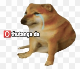 Doge 2 - Northern Breed Group Emoji,Shib Inu Emoticon