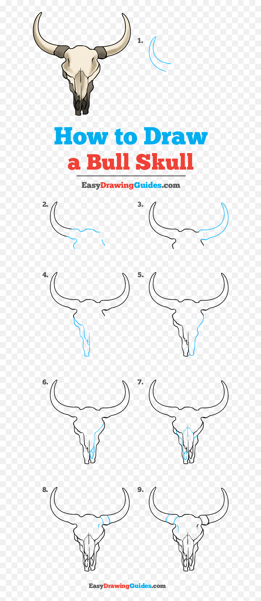 How To Draw A Bull Skull - Really Easy Drawing Tutorial Draw A Golden Retriever Step Emoji,Bull Emoji