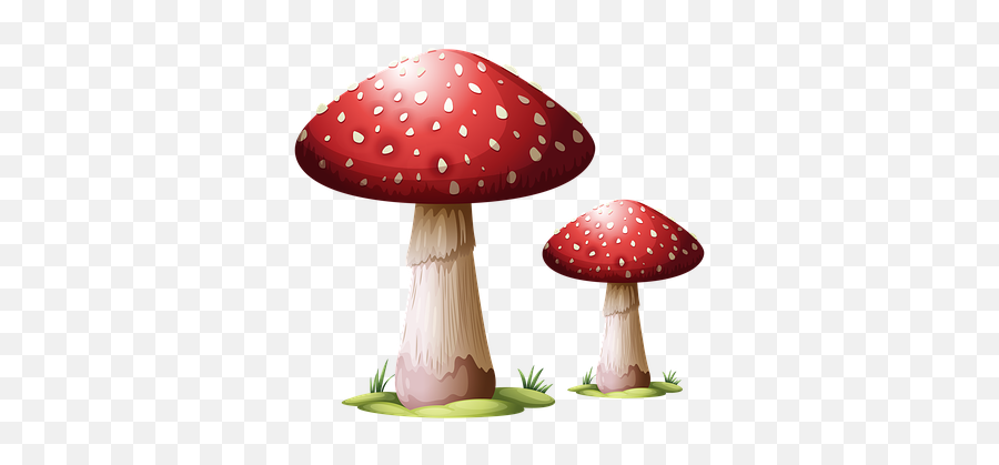 Free Photo Fungus Mushroom Toadstool Amanita Muscaria - Max Red Mushroom Emoji,Iphone Mushrooms Emoji