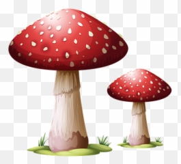 Free Photo Fungus Mushroom Toadstool Amanita Muscaria - Max Red Mushroom Emoji,Iphone Mushrooms Emoji