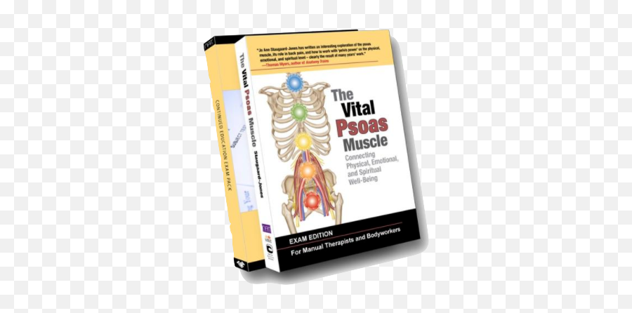 Nat Master Course - Vital Psoas Muscle Connecting Physical Emotional Emoji,It Was The Sort Of Bone Deep Emotion