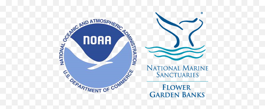 Flower Garden Banks National Marine - Woods Hole Science Aquarium Emoji,Flower Emoticon Dive