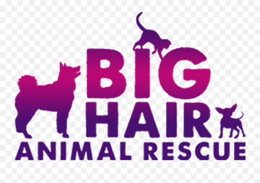 Foster U2014 Big Hair Animal Rescue Emoji,Emotions Chewbacca