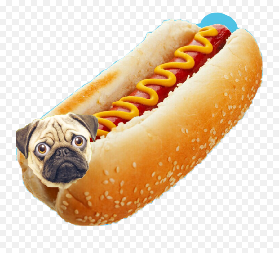 The Most Edited Schotdogs Picsart Emoji,Sausage Wiener Dog Emojis