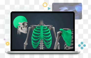 High School Science 9th - 12th Grade Teaching Resources Emoji,Face And Emotion Skull
