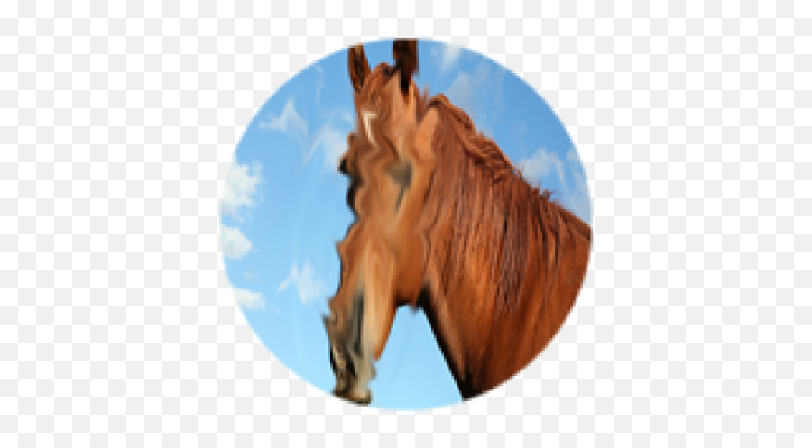 Click To Scam Ur Mom - Roblox Emoji,Horse Face Emoji