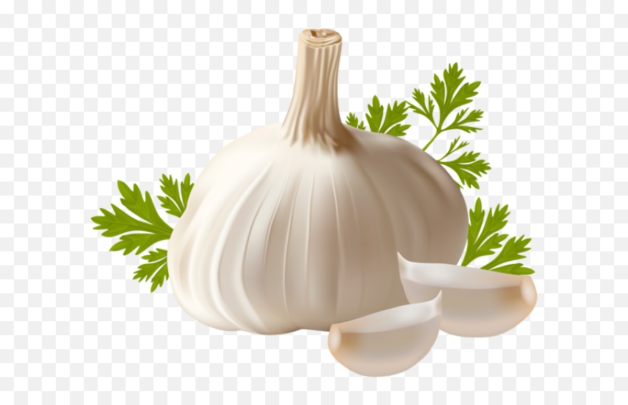 Free Clip Art - Transparent Background Garlic Png Emoji,Garlic Bread Emoji