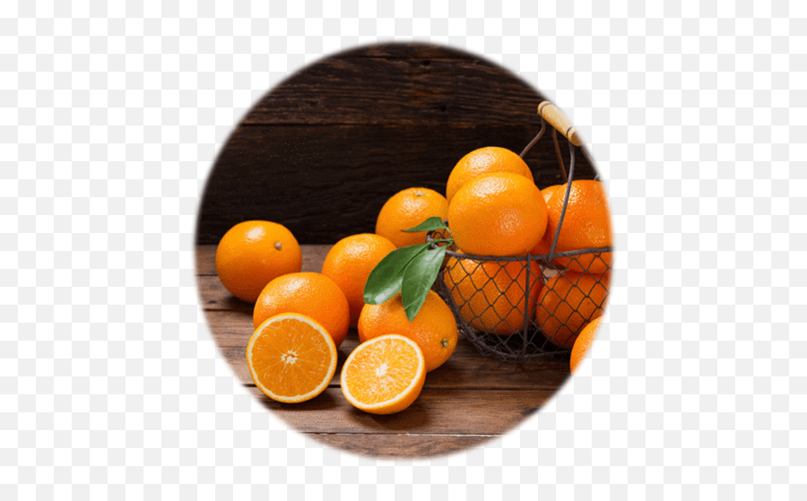 Nasalbliss Ingredients - Brazilian Oranges Emoji,Essential Oils And Emotions Orangw