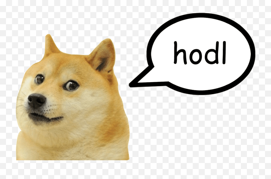 Doge Png - Doge Meme Clipart Full Size Clipart 3716571 Doge Meme Transparent Emoji,Meme On Emotion