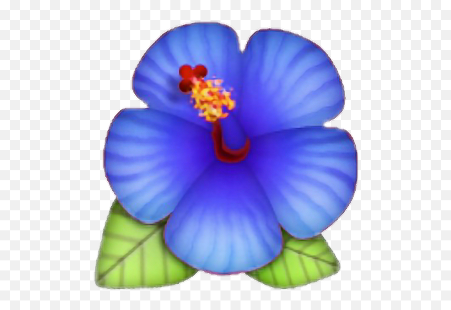 Download Hd Flower Emoji Lotus Blue - Blue Flower Emoji Png,Hibiscus Emoji