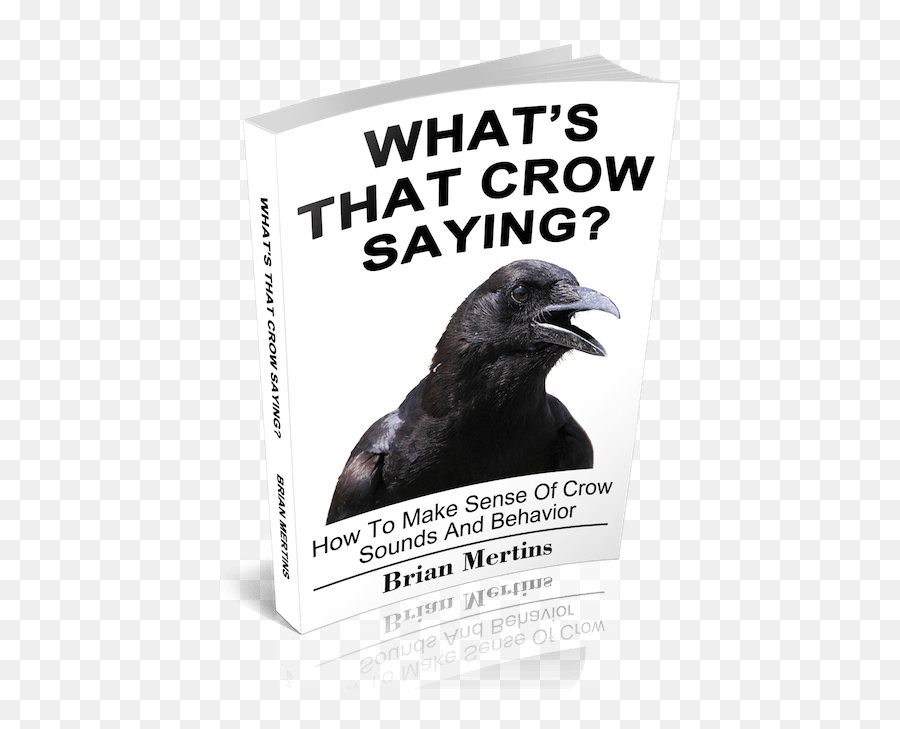 How To Understand Crow Language - Photo Caption Emoji,Blue Crown Conure Emotion