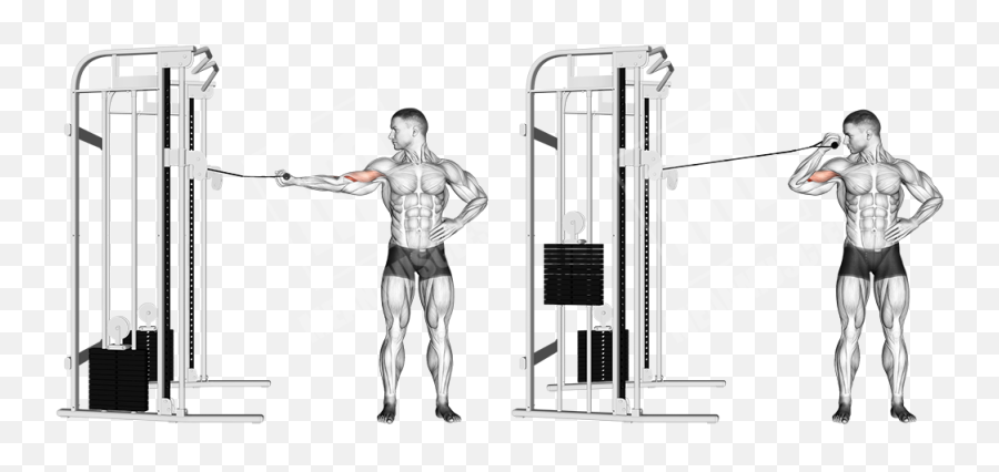 Peaky Bicep Workout - Cable Single Arm Curl Emoji,Gym Emotion Lever