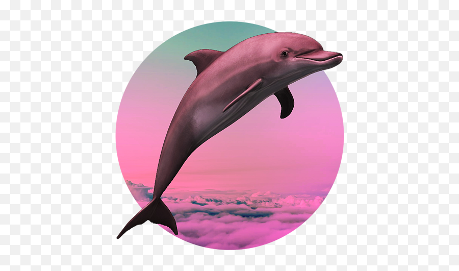 Dolphin Vaporwave Gift Aesthetic Seapunk Dolphin Funny Gift Emoji,Emotions [ Trademarks And Copyrights ] Vaporwave