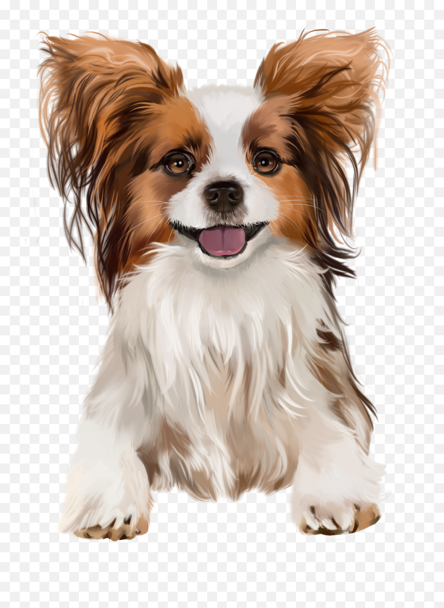Pin By Paula Constantinescu On Clipart Papillon Dog Puppy - Papillon Dog Emoji,Scottie Dog Emoji