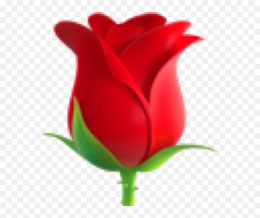 Download Emoticon Rose Symbol Sticker Emoji Png Download - Rose Png Emoji,Emoticon Symbol