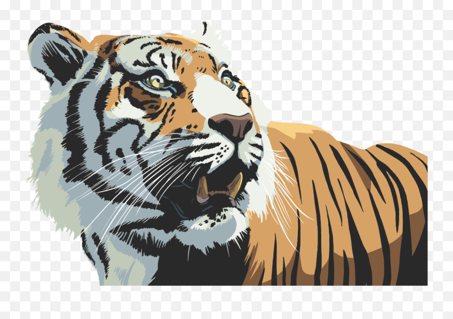 Snoutwildlifeart Png Clipart - Royalty Free Svg Png Tiger Illustration Png Emoji,Tiger/cat Emoticon
