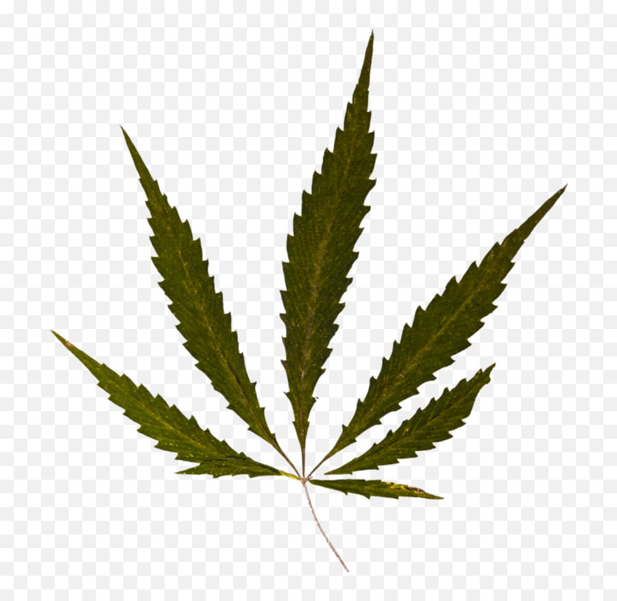 Weed Background Png - Weed Emoji,Marjuana Emoji
