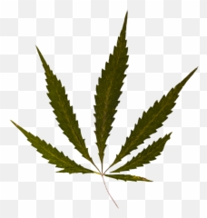 Weed Background Png - Weed Emoji,Marjuana Emoji