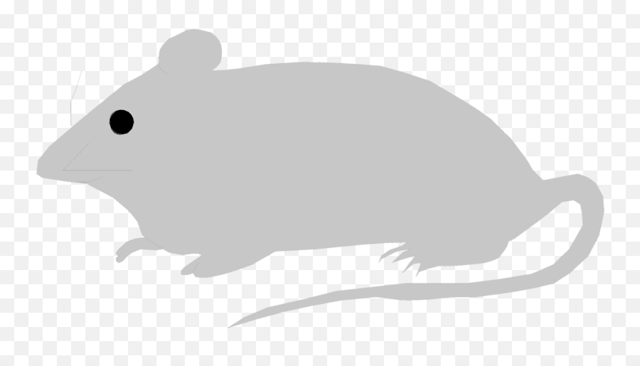Computer Mouse Clip Art - Mouse Illustration Png Free Emoji,69 Rat Emoji