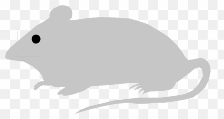 Computer Mouse Clip Art - Mouse Illustration Png Free Emoji,69 Rat Emoji