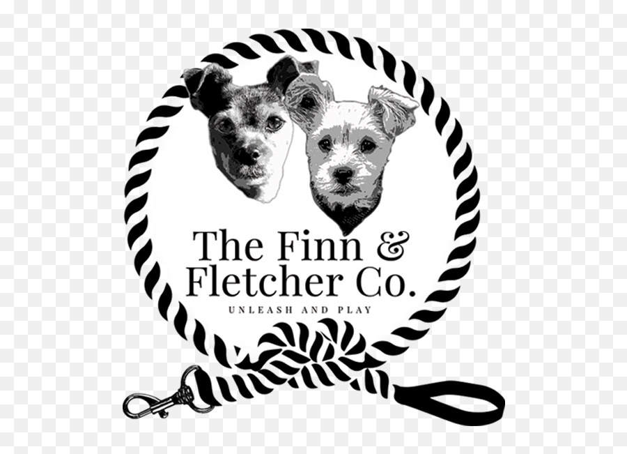 The Finn Fletcher Co - Pirastro Emoji,Fletcher Model Health Emotion Coing