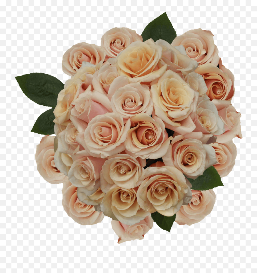 Mother Of Pearl Roses Soft Pink Flower Delivery Globalrose Emoji,Keyboard Emoticons Flower