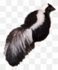 Skunk Sticker - Soft Emoji,Skunk Emoji