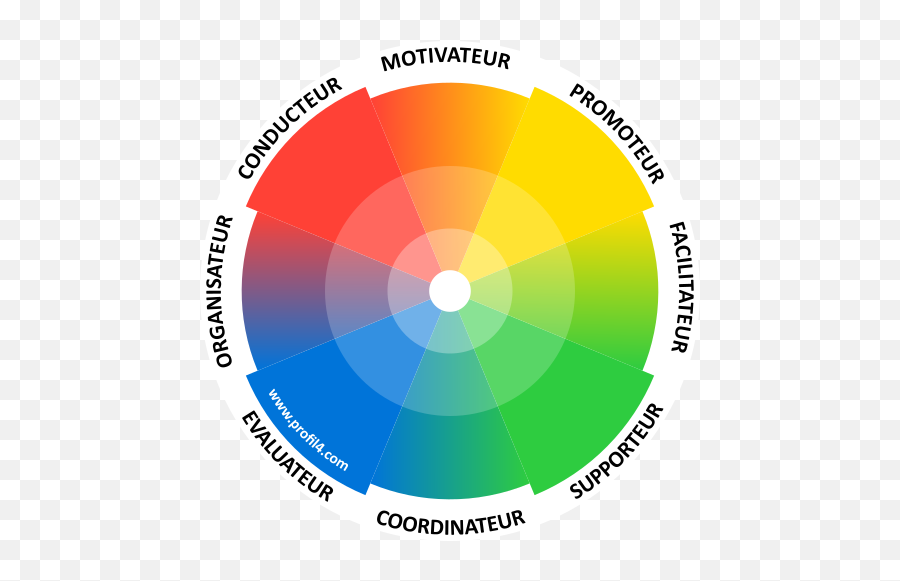 Cheffe De Projet Informatique Insparium Emoji,La Roue Des Emotions A Construire