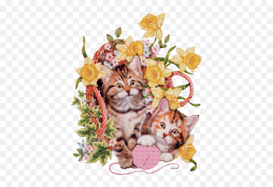 Cats Graphics And Animated Gifs Picgifscom Emoji,Kitten Emoticon Gif