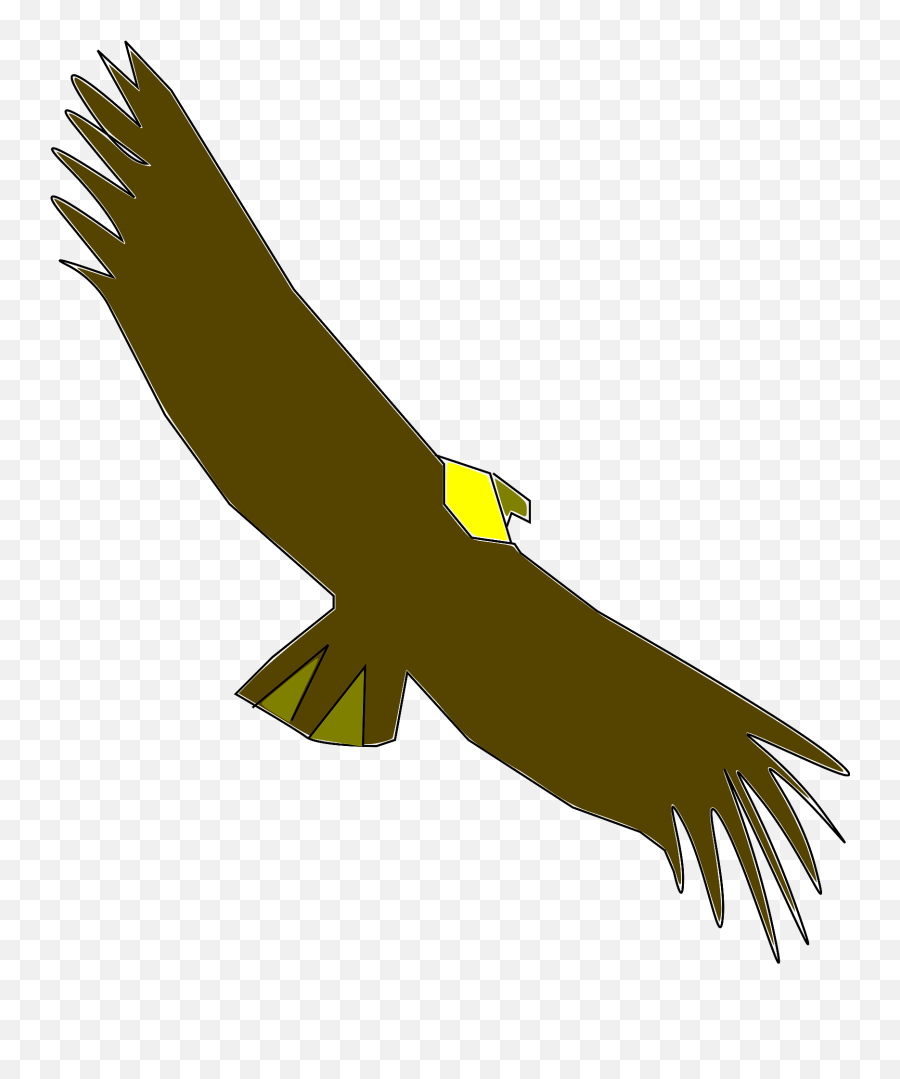 Condor Clipart Free Download Transparent Png Creazilla - Carroñero Png Emoji,Prey Emoji