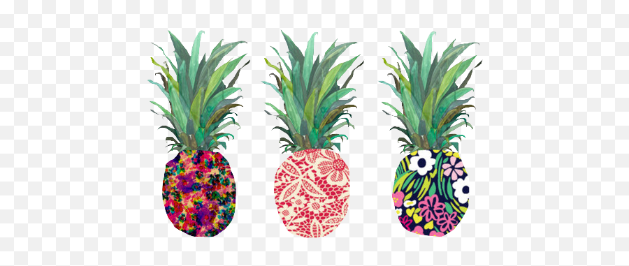 View Topic - West Coast Teen Vacation Rp Open Pineapple Desktop Background Emoji,How To Ask Fkr Sex With Fruit Emoji